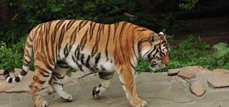 ZOO v Táboře vám připraví program na celý den