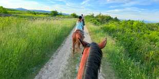 Prechádzka na koni s inštruktorom