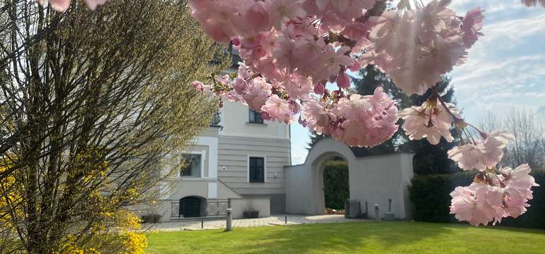 Hotel Villa Nečas****
