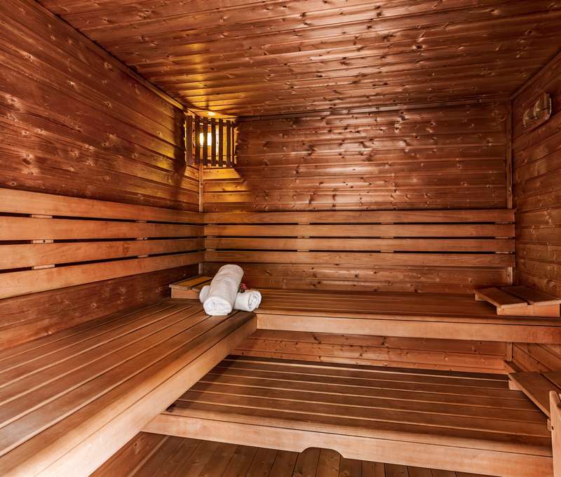 Voňavý wellness s vírivkou, saunami, slnečnou oddychovou zónou a krbom