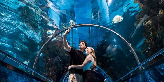 Výlet do ZOO Budapešť a Tropicaria s cestovnou kanceláriou Travelholic / Maďarsko - Budapešť