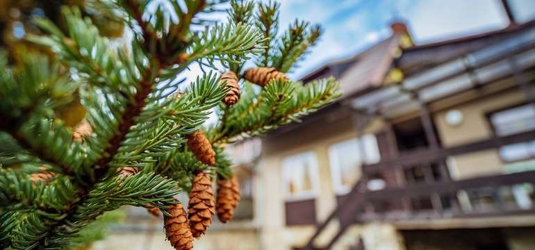 Penzión Skitour sa nachádza v tichom a pokojnom prostredí s výhľadom na Tatry