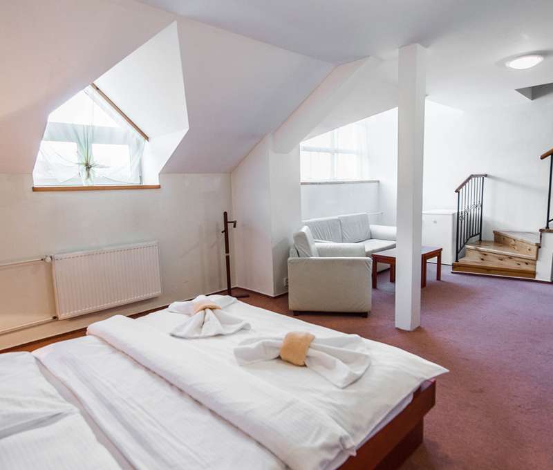 Hotel Plejsy Spa & Fun Resort ***