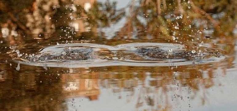 Podstatou značky Natural World je láska k prírode a autentickosť výrobkov