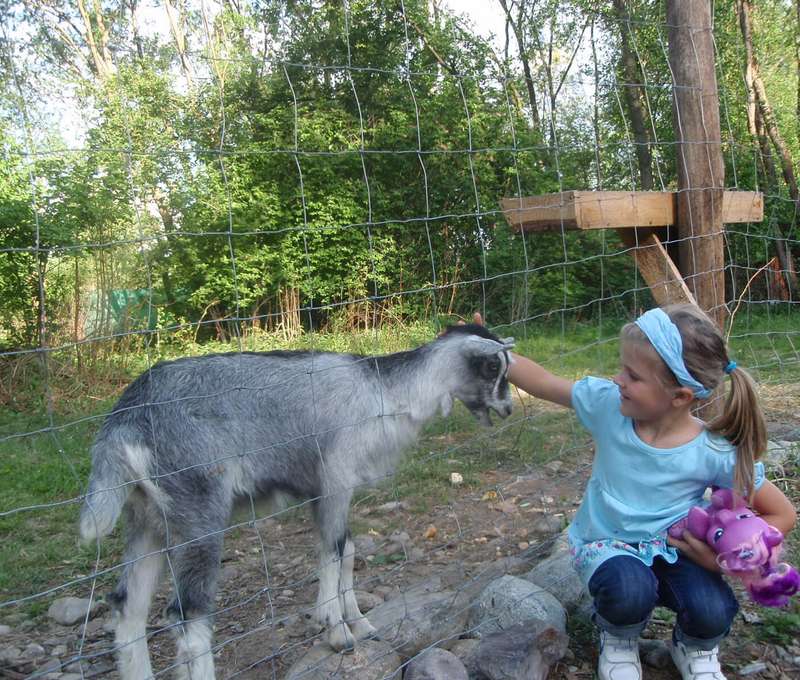 Kontakt so zvieratami v MINI ZOO 