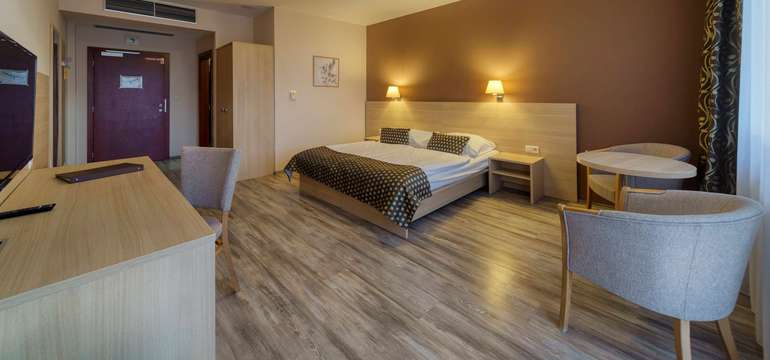 Wellness Hotel Patince****, Izba Standard