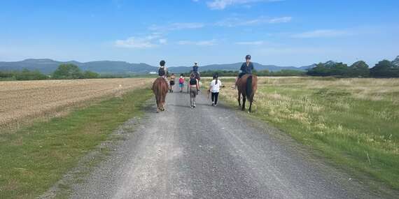 Prechádzka na koni s inštruktorom v Šenkviciach - len 10 min. od Pezinka/Šenkvice