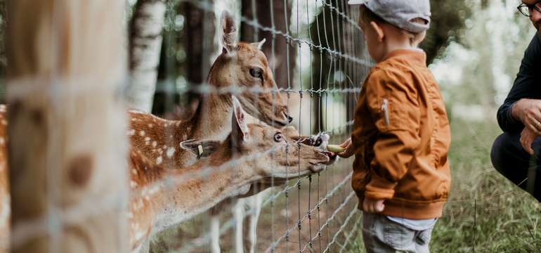 ZOO Košice je jedným z TOP 10 turistických cieľov na východnom Slovensku