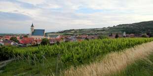 Privátna vínna cesta - svätojurské víno na jednom mieste