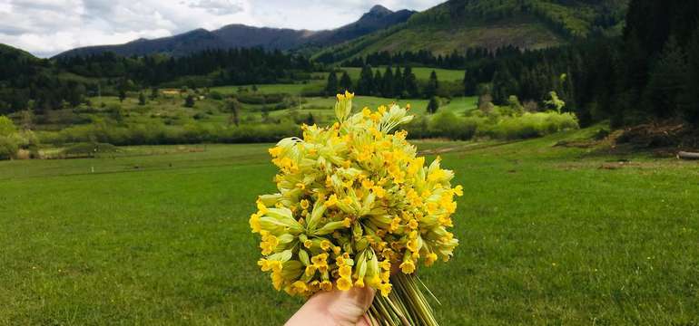 Fačkov leží na pomedzí dvoch pohorí - Strážovské vrchy and Malá Fatra