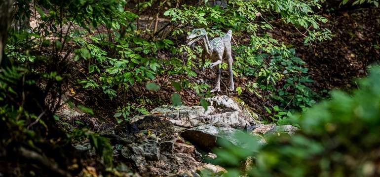 DinoPark ako súčasť Zoologickej záhrady Košice