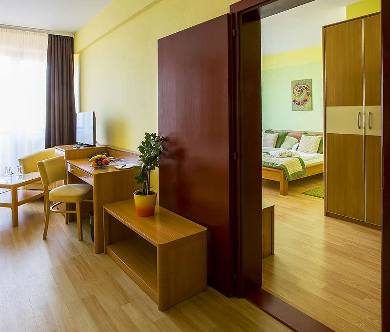Wellness Hotel Patince****, Izba Standard