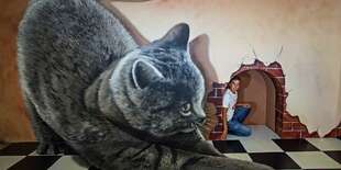 ILUSIA - fascinujúci svet optických klamov