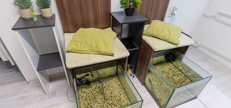 Biopedikúra rybičkami Garra Rufa