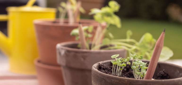 Ak je ceruzka Sprout už na písanie príliš krátka, jednoducho ju vložíte do hliny