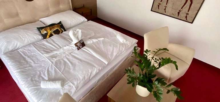 Ubytovanie v dvojlôžkovej izbe, apartmáne Deluxe alebo rodinnom apartmáne Royal