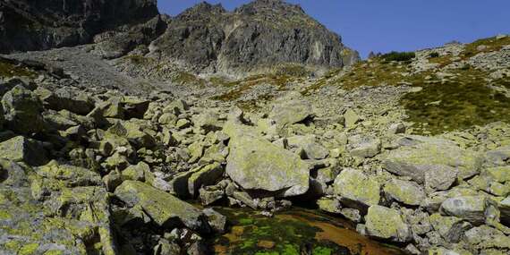 Skupinový výstup na Malý Ľadový štít, Baranie Rohy či Širokú Vežu vo Vysokých Tatrách s horským sprievodcom/Vysoké Tatry
