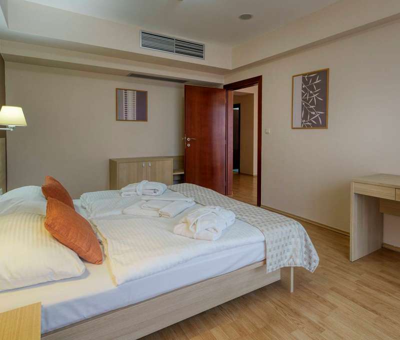 Wellness Hotel Patince****, Izba Standard