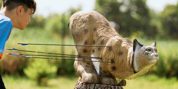 Staňte sa lukostrelcom na 60 minút: Zažite dobrodružstvo v 3D svete!/Topoľčany