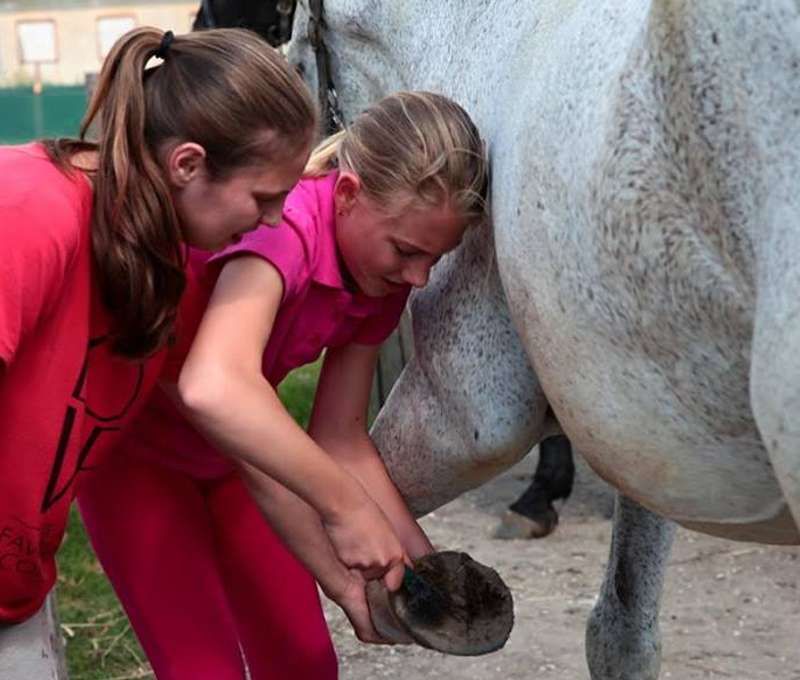 Lekcie jazdenia na koni s inštruktorom pre deti aj dospelých