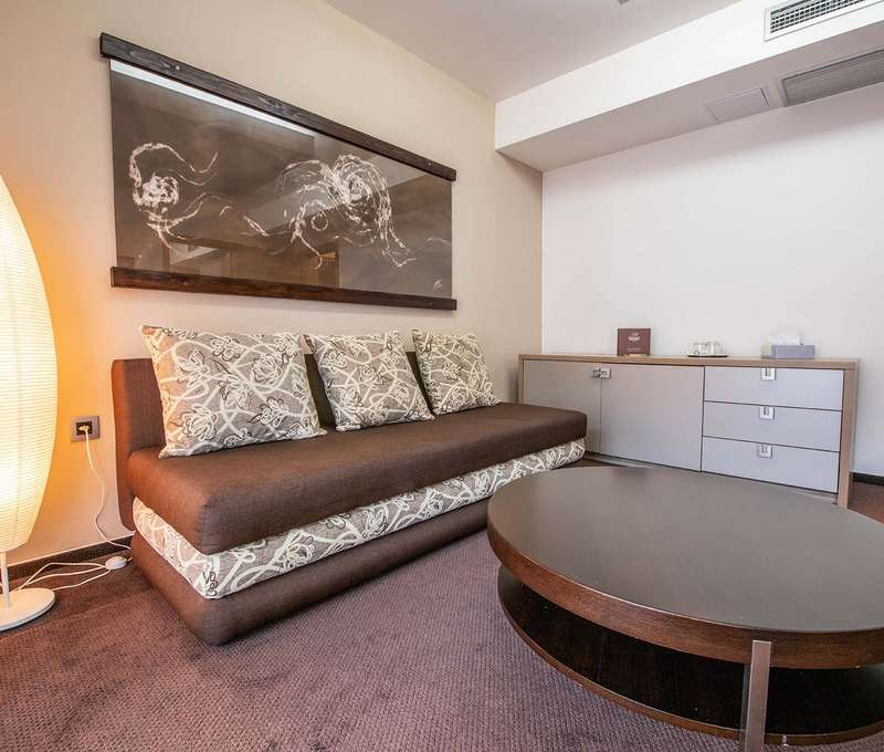 Hotel DIPLOMAT **** – apartmán typu Štandard