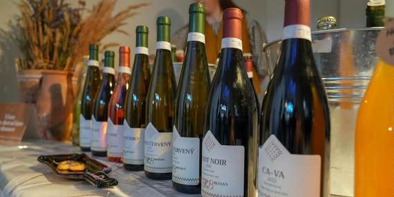 Darčekový poukaz na riadenú degustáciu vín Hrčka&Benian Winery/Trnava