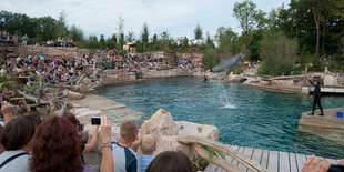 Delfinárium norimberské zoologické zahrady