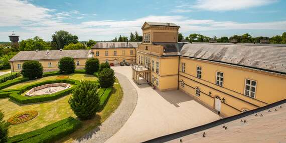 Relaxačný pobyt v Poľovníckom kaštieli Palárikovo so vstupom do wellness a polpenziou/Palárikovo
