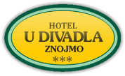Hotel U Divadla***