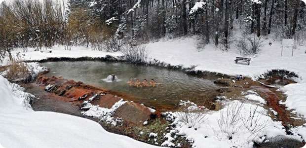 Medokýš v Kalamenoch