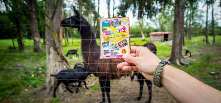 Kontakt so zvieratami v MINI ZOO 