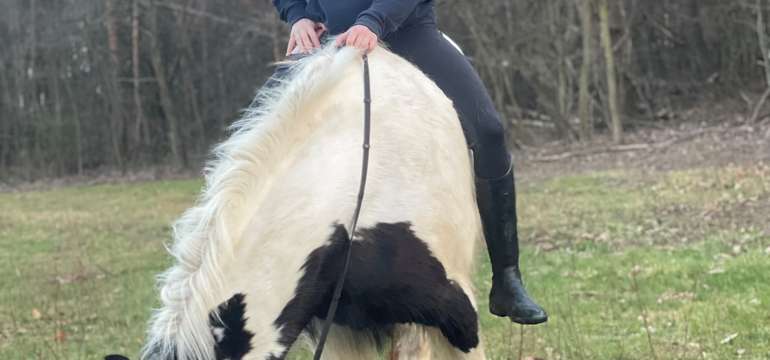 Najkrajší pohľad na svet je z konského chrbta