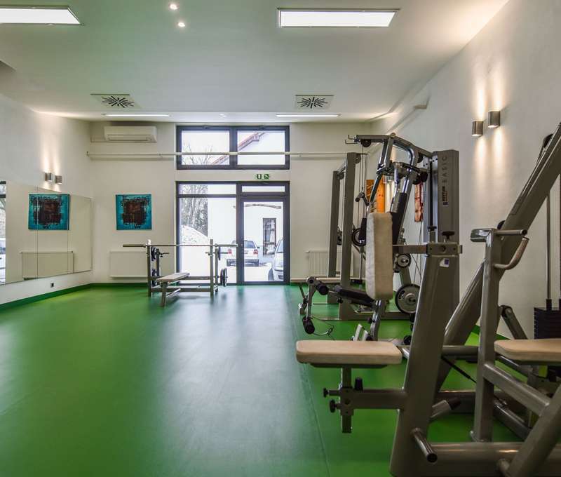 Kaštieľ Mojmírovce, fitness