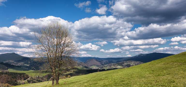 Počas pobytu sa môžete vydať na túru a užiť si aj takúto panorámu