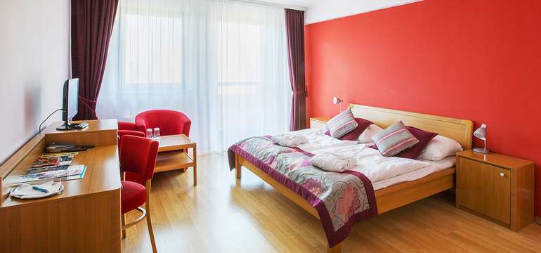 Wellness Hotel Patince****, Izba Standard