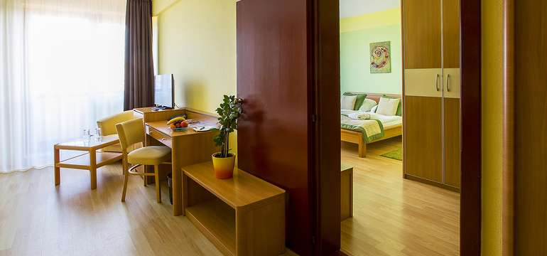 Wellness Hotel Patince****, Izba Standard