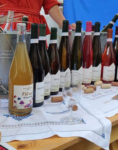 Darčekový poukaz na ochutnávku vín Hrčka&Benian Winery so súkromným degustovaním