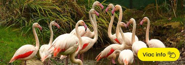 ZOO spiska nova ves - zlava na vstupne