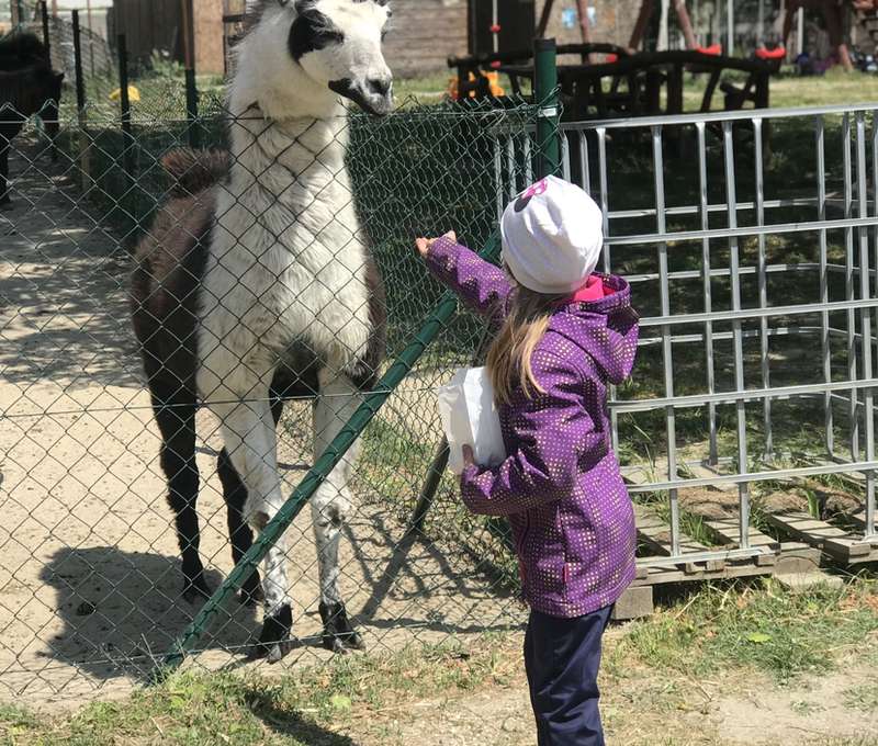 Sokoliareň a minizoo Devín
