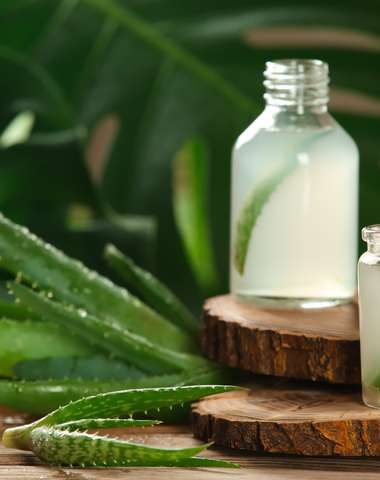 Aloe vera pomáha zvyšovať imunitu a odbúrava únavu