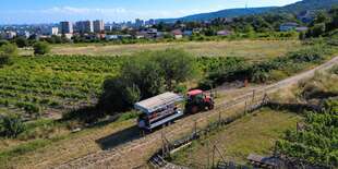 Vínovlečka - zážitková jazda vo vinohradoch s degustáciou vín