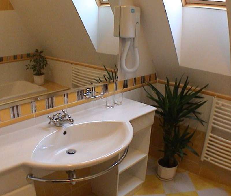 Hotel U Leva