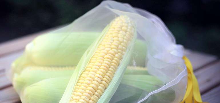 Základnou a jedinou surovinou na výrobu PLA je rastlinná biomasa, v tomto prípade kukurica