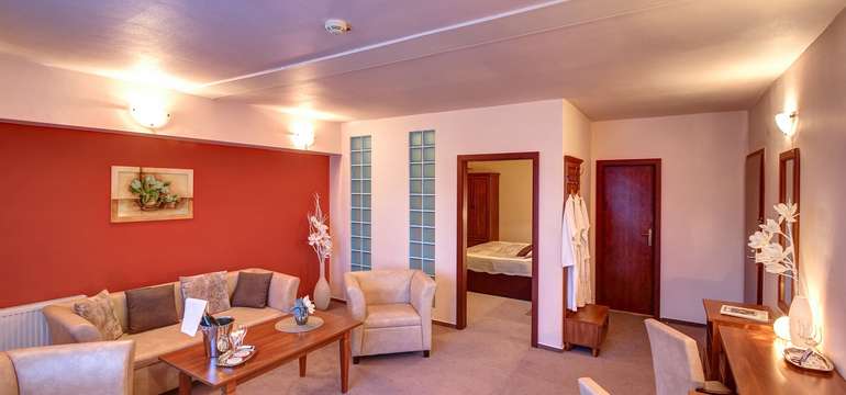 Hotel DIXON**** 