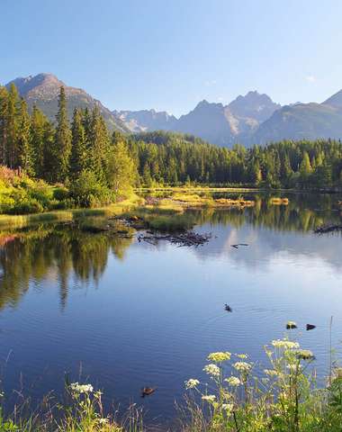 Tatry