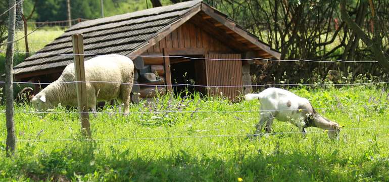 Experimentálna biofarma Drienová v neďalekom Rajci