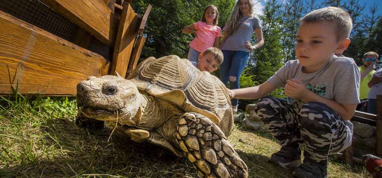 ZOOKONTAKT family park je výlet na celý deň a zážitok na celý život