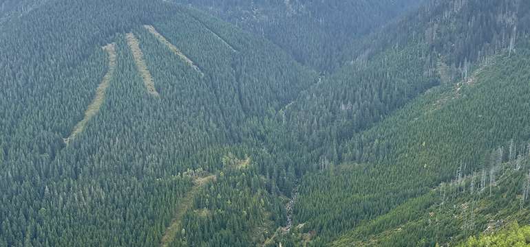 Krkonoše jsou oblíbeným místem k trávení dovolené v jakémkoli ročním období