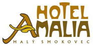 HOTEL AMALIA***