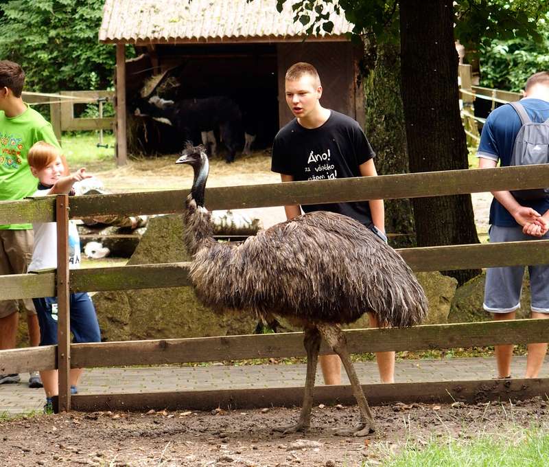 Vstupenka do ZOO a Monkeylandu pre dospelých, detí aj dôchodcov